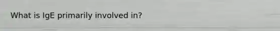 What is IgE primarily involved in?