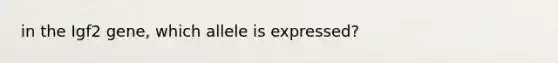 in the Igf2 gene, which allele is expressed?