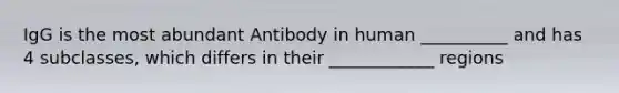 IgG is the most abundant Antibody in human __________ and has 4 subclasses, which differs in their ____________ regions