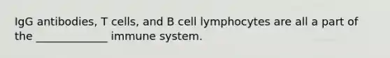 IgG antibodies, T cells, and B cell lymphocytes are all a part of the _____________ immune system.