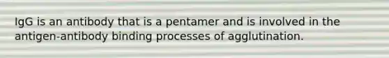 IgG is an antibody that is a pentamer and is involved in the antigen-antibody binding processes of agglutination.