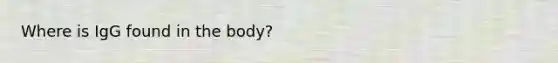 Where is IgG found in the body?