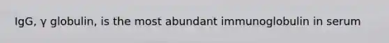 IgG, γ globulin, is the most abundant immunoglobulin in serum