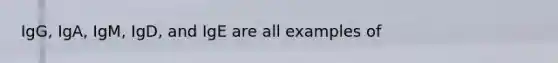 IgG, IgA, IgM, IgD, and IgE are all examples of