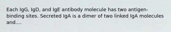 Each IgG, IgD, and IgE antibody molecule has two antigen-binding sites. Secreted IgA is a dimer of two linked IgA molecules and....