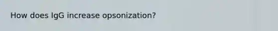 How does IgG increase opsonization?