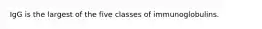 IgG is the largest of the five classes of immunoglobulins.