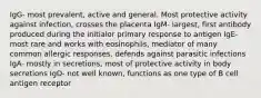 IgG- most prevalent, active and general. Most protective activity against infection, crosses the placenta IgM- largest, first antibody produced during the initialor primary response to antigen IgE- most rare and works with eosinophils, mediator of many common allergic responses, defends against parasitic infections IgA- mostly in secretions, most of protective activity in body secretions IgD- not well known, functions as one type of B cell antigen receptor