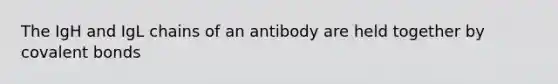 The IgH and IgL chains of an antibody are held together by <a href='https://www.questionai.com/knowledge/kWply8IKUM-covalent-bonds' class='anchor-knowledge'>covalent bonds</a>