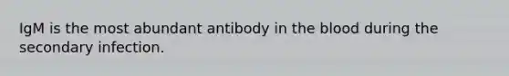 IgM is the most abundant antibody in the blood during the secondary infection.