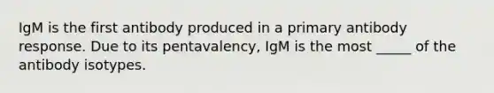 IgM is the first antibody produced in a primary antibody response. Due to its pentavalency, IgM is the most _____ of the antibody isotypes.