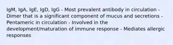 IgM, IgA, IgE, IgD, IgG - Most prevalent antibody in circulation - Dimer that is a significant component of mucus and secretions - Pentameric in circulation - Involved in the development/maturation of immune response - Mediates allergic responses