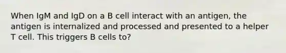 When IgM and IgD on a B cell interact with an antigen, the antigen is internalized and processed and presented to a helper T cell. This triggers B cells to?