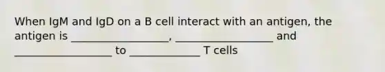 When IgM and IgD on a B cell interact with an antigen, the antigen is __________________, __________________ and __________________ to _____________ T cells