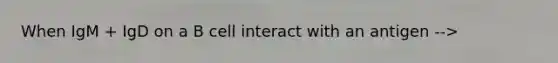 When IgM + IgD on a B cell interact with an antigen -->