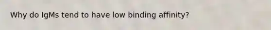 Why do IgMs tend to have low binding affinity?