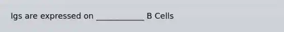 Igs are expressed on ____________ B Cells