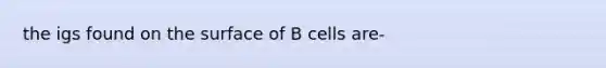 the igs found on the surface of B cells are-