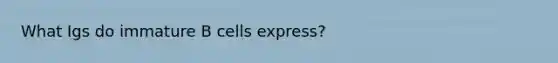 What Igs do immature B cells express?