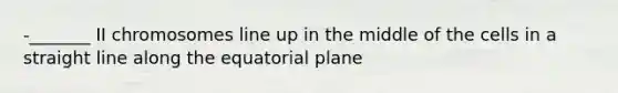 -_______ II chromosomes line up in the middle of the cells in a straight line along the equatorial plane