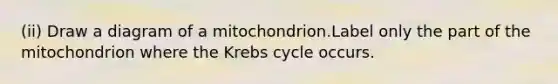 (ii) Draw a diagram of a mitochondrion.Label only the part of the mitochondrion where the Krebs cycle occurs.