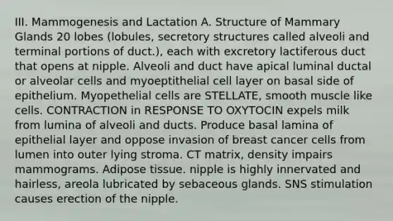 III. Mammogenesis and Lactation A. Structure of Mammary Glands 20 lobes (lobules, secretory structures called alveoli and terminal portions of duct.), each with excretory lactiferous duct that opens at nipple. Alveoli and duct have apical luminal ductal or alveolar cells and myoeptithelial cell layer on basal side of epithelium. Myopethelial cells are STELLATE, smooth muscle like cells. CONTRACTION in RESPONSE TO OXYTOCIN expels milk from lumina of alveoli and ducts. Produce basal lamina of epithelial layer and oppose invasion of breast cancer cells from lumen into outer lying stroma. CT matrix, density impairs mammograms. Adipose tissue. nipple is highly innervated and hairless, areola lubricated by sebaceous glands. SNS stimulation causes erection of the nipple.