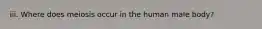 iii. Where does meiosis occur in the human male body?