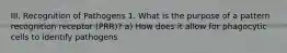 III. Recognition of Pathogens 1. What is the purpose of a pattern recognition receptor (PRR)? a) How does it allow for phagocytic cells to identify pathogens