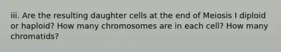 iii. Are the resulting daughter cells at the end of Meiosis I diploid or haploid? How many chromosomes are in each cell? How many chromatids?