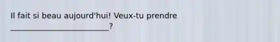 Il fait si beau aujourd'hui! Veux-tu prendre _________________________?