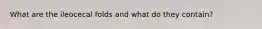 What are the ileocecal folds and what do they contain?