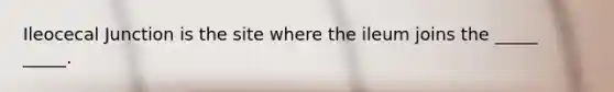 Ileocecal Junction is the site where the ileum joins the _____ _____.