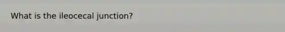 What is the ileocecal junction?