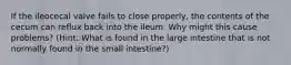 If the ileocecal valve fails to close properly, the contents of the cecum can reflux back into the ileum. Why might this cause problems? (Hint: What is found in the large intestine that is not normally found in the small intestine?)