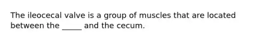 The ileocecal valve is a group of muscles that are located between the _____ and the cecum.