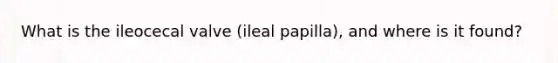 What is the ileocecal valve (ileal papilla), and where is it found?