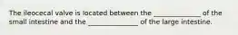 The ileocecal valve is located between the ______________ of the small intestine and the _______________ of the large intestine.