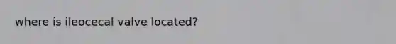 where is ileocecal valve located?