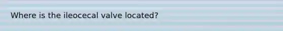 Where is the ileocecal valve located?