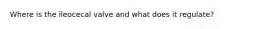 Where is the ileocecal valve and what does it regulate?
