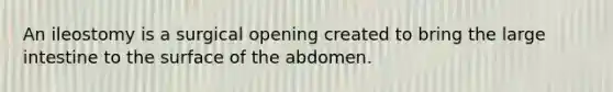 An ileostomy is a surgical opening created to bring the large intestine to the surface of the abdomen.