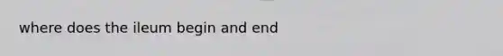 where does the ileum begin and end