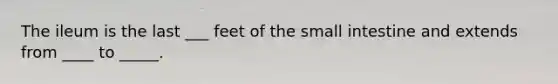 The ileum is the last ___ feet of the small intestine and extends from ____ to _____.