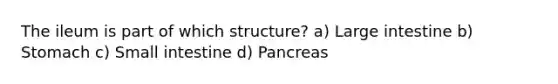 The ileum is part of which structure? a) Large intestine b) Stomach c) Small intestine d) Pancreas