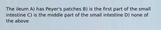 The ileum A) has Peyer's patches B) is the first part of <a href='https://www.questionai.com/knowledge/kt623fh5xn-the-small-intestine' class='anchor-knowledge'>the small intestine</a> C) is the middle part of the small intestine D) none of the above