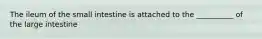 The ileum of the small intestine is attached to the __________ of the large intestine
