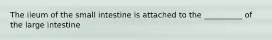 The ileum of the small intestine is attached to the __________ of the large intestine