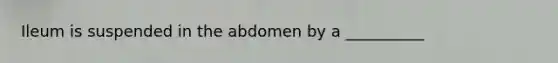 Ileum is suspended in the abdomen by a __________