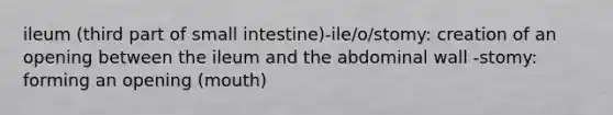 ileum (third part of small intestine)-ile/o/stomy: creation of an opening between the ileum and the abdominal wall -stomy: forming an opening (mouth)