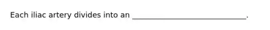Each iliac artery divides into an ______________________________.